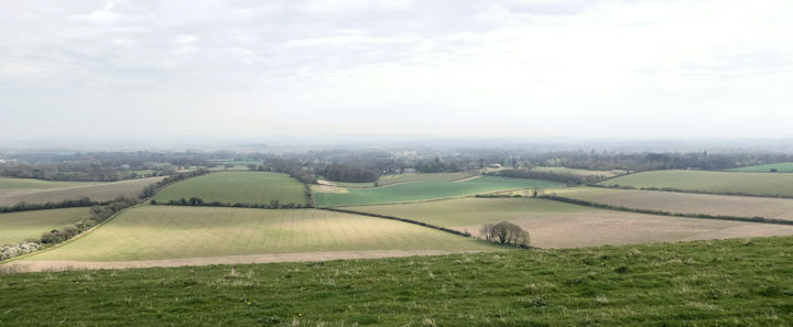view